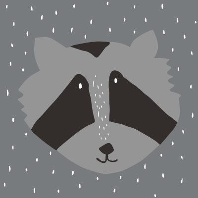 Mr.Raccoon